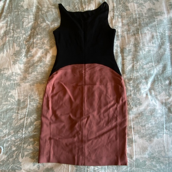 NWOT Reiss Dusty Rose and Black Dress - Picture 4 of 12